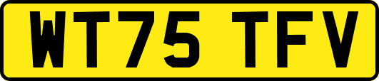 WT75TFV