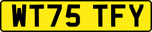 WT75TFY