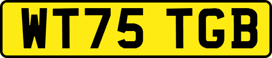 WT75TGB
