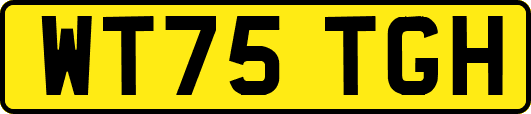 WT75TGH