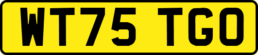 WT75TGO