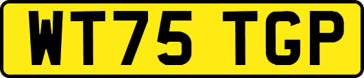 WT75TGP