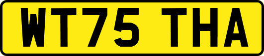 WT75THA