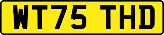 WT75THD