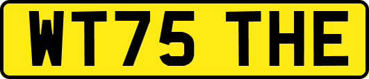 WT75THE
