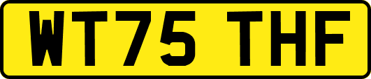 WT75THF