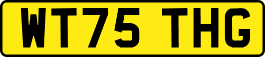 WT75THG