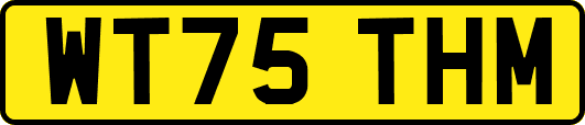 WT75THM