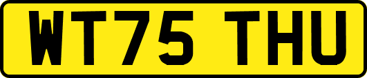 WT75THU