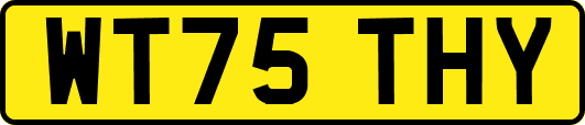 WT75THY
