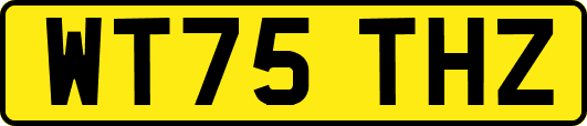WT75THZ
