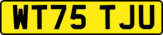 WT75TJU