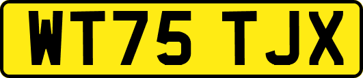 WT75TJX
