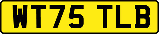 WT75TLB
