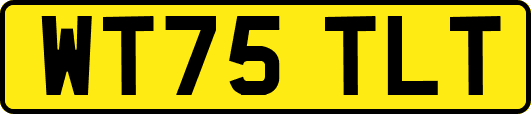WT75TLT