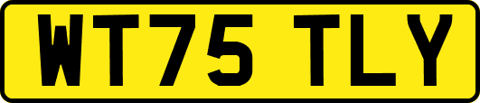 WT75TLY