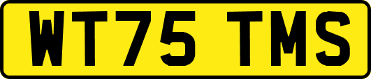 WT75TMS