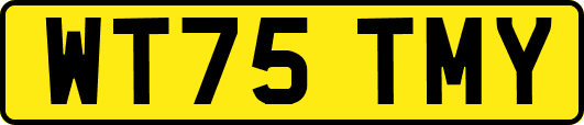 WT75TMY