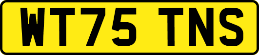 WT75TNS