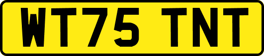 WT75TNT