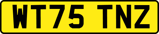 WT75TNZ