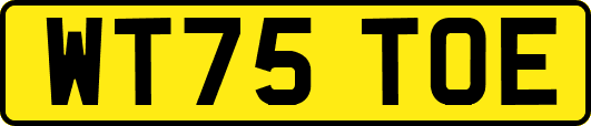 WT75TOE