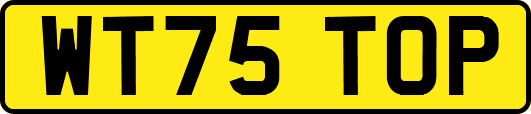 WT75TOP