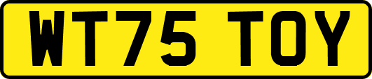 WT75TOY