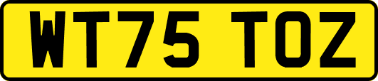 WT75TOZ