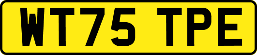 WT75TPE