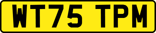WT75TPM