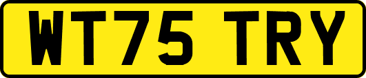 WT75TRY