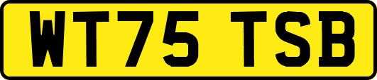 WT75TSB
