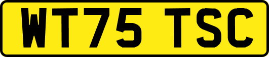 WT75TSC