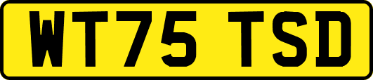 WT75TSD