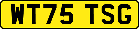 WT75TSG