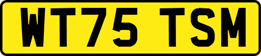 WT75TSM