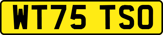 WT75TSO