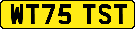 WT75TST