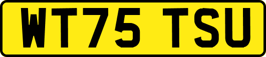 WT75TSU