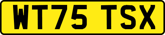 WT75TSX