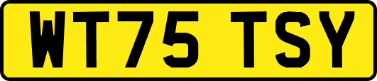 WT75TSY