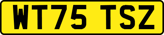 WT75TSZ