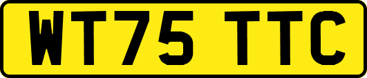 WT75TTC