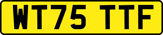 WT75TTF