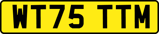 WT75TTM