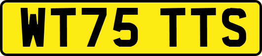 WT75TTS