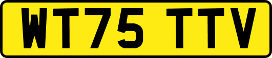 WT75TTV