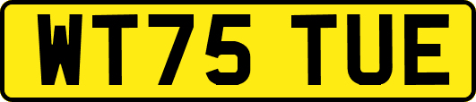 WT75TUE