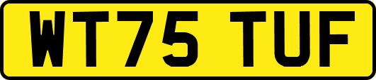 WT75TUF